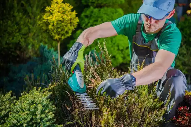 landscaping services New Burlington